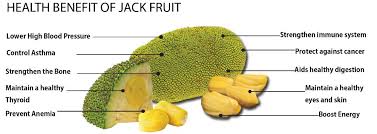 benefits of jackfruit